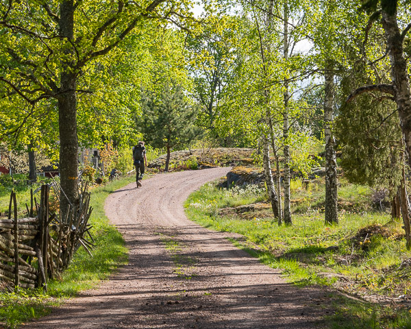 Hiking along Ostkustleden